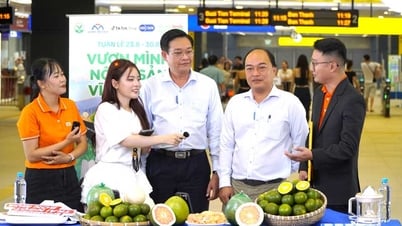 „Vinh Long Agricultural Products Week – Infrastruktur nutzen, OCOP verbessern“