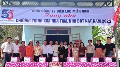 EVNSPC ทุ่มเงินเกือบ 19 พันล้านดองช่วยยุติโครงการบ้านชั่วคราวในภาคใต้