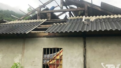 En la comuna de Dong Phuc, 52 casas perdieron sus techos.