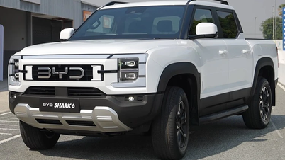 BYD annule son projet de produire le pick-up Shark 6 PHEV en Thaïlande