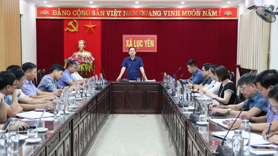 Department of Finance works with 6 communes on budget revenue and expenditure in 2025