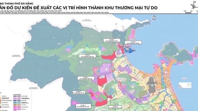 Điều chỉnh các vị trí thành lập Khu thương mại tự do Đà Nẵng