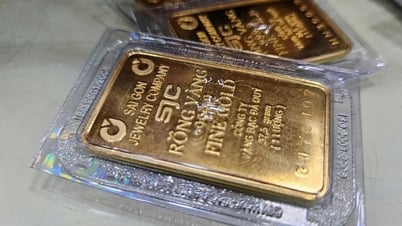 금괴에 관한 새로운 제안