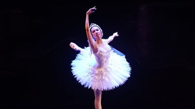 バレエ『白鳥の湖』の魅力