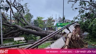 ផ្លូវជាច្រើនក្នុងទីក្រុង Ha Tinh ស្ថិតក្នុងភាពច្របូកច្របល់ បន្ទាប់ពីព្យុះទី 5