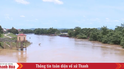 Tăng mức báo động III trên sông Bưởi tại trạm thủy văn Kim Tân