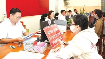 Can Dang은 상승을 열망합니다