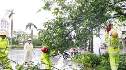 La police de la circulation de Nghe An intervient rapidement sur les arbres tombés, assurant ainsi la sécurité routière après la tempête n° 5.