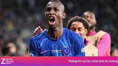 ニコラス・ジャクソンがバイエルンへの移籍で合意