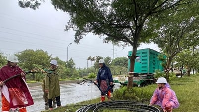 Lãnh đạo Công ty Điện lực Nghệ An thông tin tiến độ cấp điện trở lại