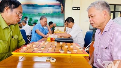 "옛 체스 선수들"의 취미에 대한 이야기