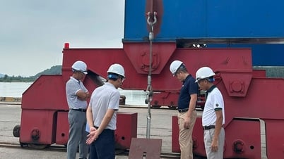 VIMC tập trung cao độ phòng chống bão Kajiki tại các đơn vị thành viên khu vực miền Trung