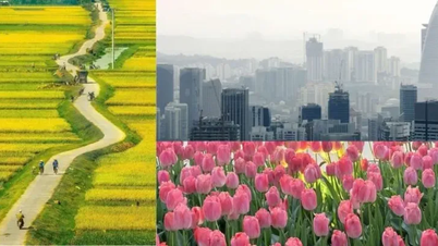 Anhnghethuatdulich.com - موقع صور فنية للقراء