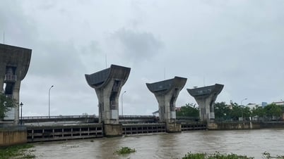 Stromausfall nach Sturm Nr. 5, Nghe An muss Generator laufen lassen, um Hochwasser abzuleiten