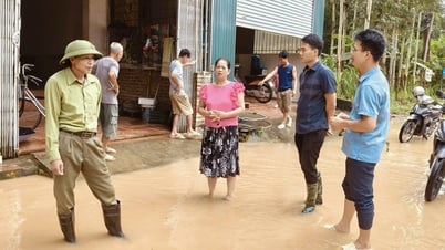 バクニン省：自然災害の影響を克服し、人々の生活の安定に焦点を当てる