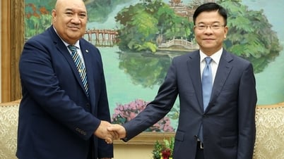 Die WHO begleitet Vietnam weiterhin bei der Sorge um die Gesundheit der Bevölkerung
