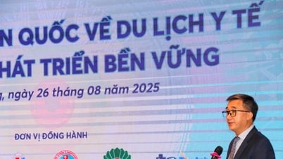 Phát triển du lịch y tế, đưa Việt Nam trở thành điểm đến chăm sóc sức khỏe hàng đầu khu vực