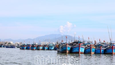 Nhiều tàu câu cá ngừ đại dương nằm bờ