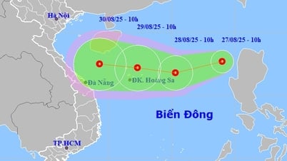 Hải Phòng ra công điện về ứng phó với áp thấp nhiệt đới trên Biển Đông