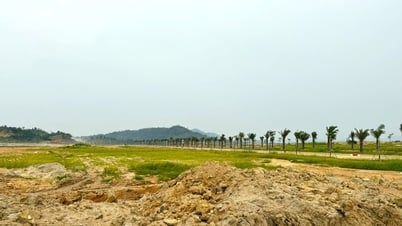 Accelerating the implementation of Tan Duc Industrial Park