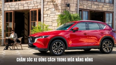 더운 날씨 속 올바른 자동차 관리: 차량을 보호하고 마음 편히 여행하세요
