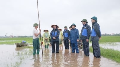 Xã Cổ Đô chủ động ứng phó mưa lớn, khắc phục úng ngập, sạt lở