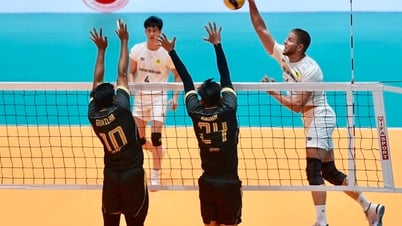 Internationales Polizeivolleyballturnier 2025: Zwei Heimteams verloren