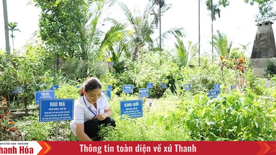 រួមបញ្ចូលគ្នានូវឱសថទំនើប និងឱសថបុរាណក្នុងការព្យាបាលជំងឺ