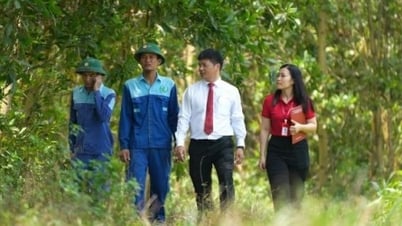 Bank wants to be a strategic bridge to bring Vietnam's carbon credits to the international market