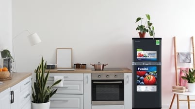 Welcher sparsame Kühlschrank eignet sich für Arbeiter im Preissturm?
