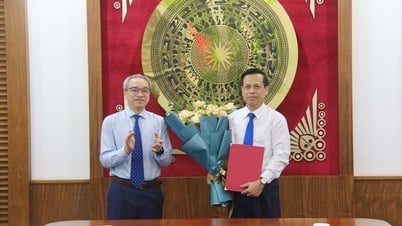 Trao Quyết định nghỉ hưu trước tuổi cho Phó Cục trưởng Cục TTCS&TTĐN