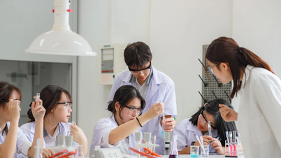 La educación pasa de una innovación fundamental e integral a un desarrollo revolucionario