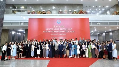 Konferenz zum Treffen mit ausländischen NGOs in Vietnam im Jahr 2025