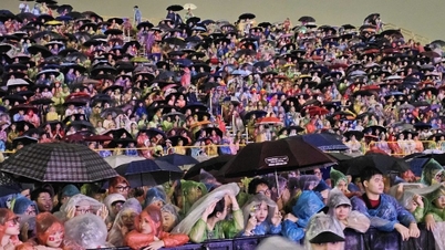 Despite the pouring rain, tens of thousands of spectators still immersed themselves in the concert 'Vietnam in me'