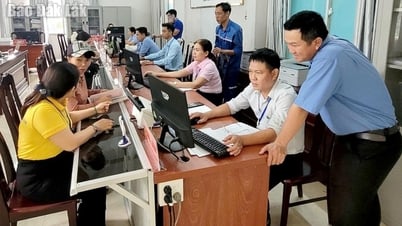 Более 50 000 сельскохозяйственных и экологических записей были решены за почти 2 месяца