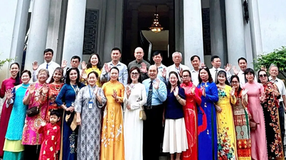 Perfektionierung der Politik zur Anziehung vietnamesischer Ressourcen im Ausland