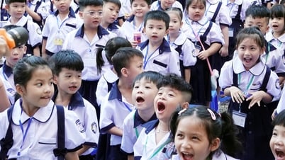 学校の制服: 学校ごとに制服を分けるべきですか、それとも白いシャツと黒いズボンだけですか?