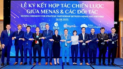 Menas Group signs cooperation agreements with 5 strategic partners