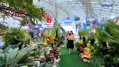 Beeindruckender Ausstellungsraum „Quang Ngai – Revolutionärer Ursprung, stetige Schritte in die Zukunft“