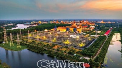 Ca Mau ថាមពលបៃតងខ្លាំង