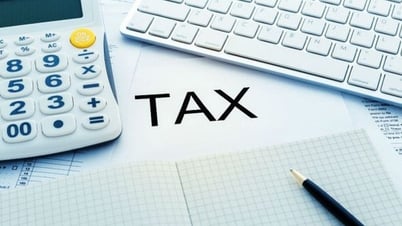 اللوائح المقترحة بشأن إدارة الضرائب الدولية