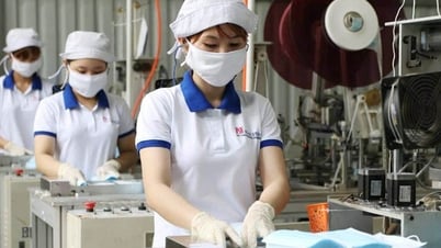 企業に投資された国有資本の管理と使用に関する法律を導く5つの法令が引き続き施行される