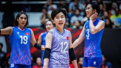 ตั๋วเข้าชมการแข่งขันรอบชิงชนะเลิศวอลเลย์บอลชิงแชมป์โลกของเวียดนามถูกจำหน่ายหมดแล้ว