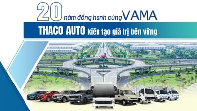 20 años acompañando a VAMA - THACO AUTO crea valores sostenibles