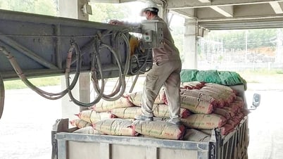 ក្រុមហ៊ុនភាគហ៊ុនរួម Dong Lam Cement៖ ការត្រួតពិនិត្យយ៉ាងតឹងរ៉ឹងដើម្បីធានាគុណភាពផលិតផល