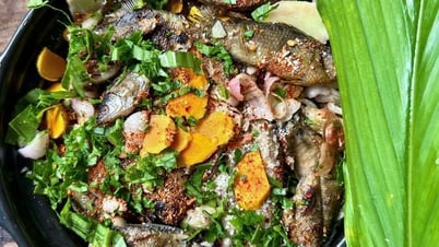 Nach dem Sturm gingen die Leute von Quang Tri auf die Felder, um Fische zu fangen.
