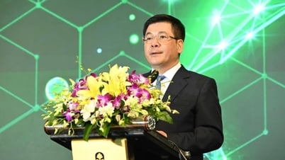 Vượt thách thức để hiện thực hoá lộ trình xăng sinh học E10