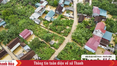Hundreds of houses in Ha Trung were submerged in water, people evacuated their belongings and pets to the dike to avoid the flood.