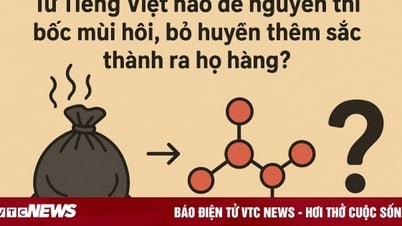 Welches vietnamesische Wort riecht schlecht, wenn man es so lässt, aber wenn man den Ton entfernt und das Scharfe hinzufügt, wird es relativ?