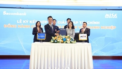 MISA와 Sacombank는 기업, 가계 및 개인 사업을 위한 디지털 금융 생태계를 구축하기 위한 협력 계약을 체결했습니다.